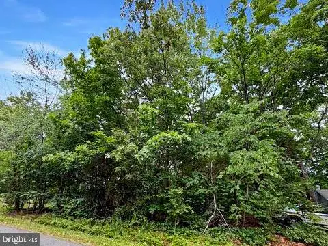 604 Yorktown Blvd, Locust Grove, VA 22508 - #2