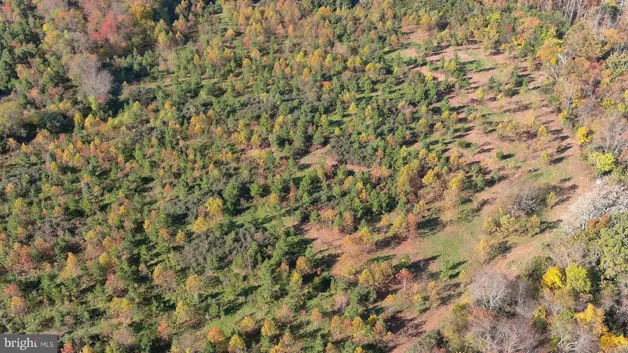 Old Barboursville Rd, Gordonsville, VA 22942 - #3