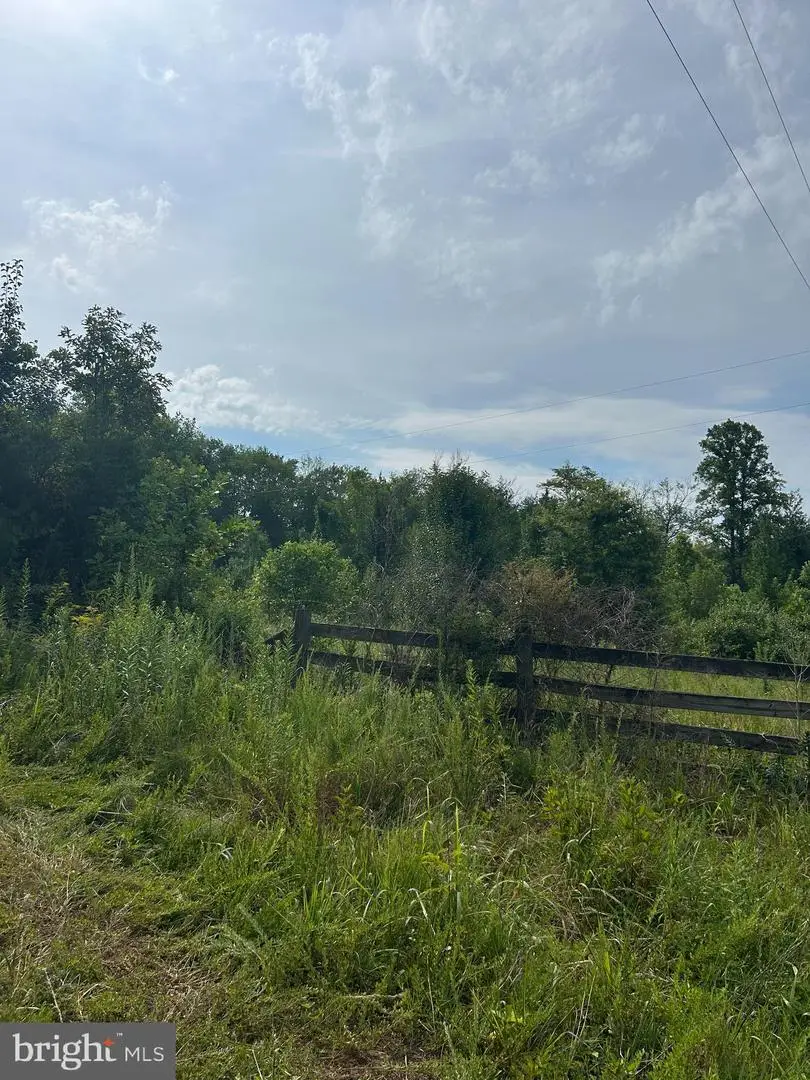 24273 Creekwood Rd, Unionville, VA 22567 - #3