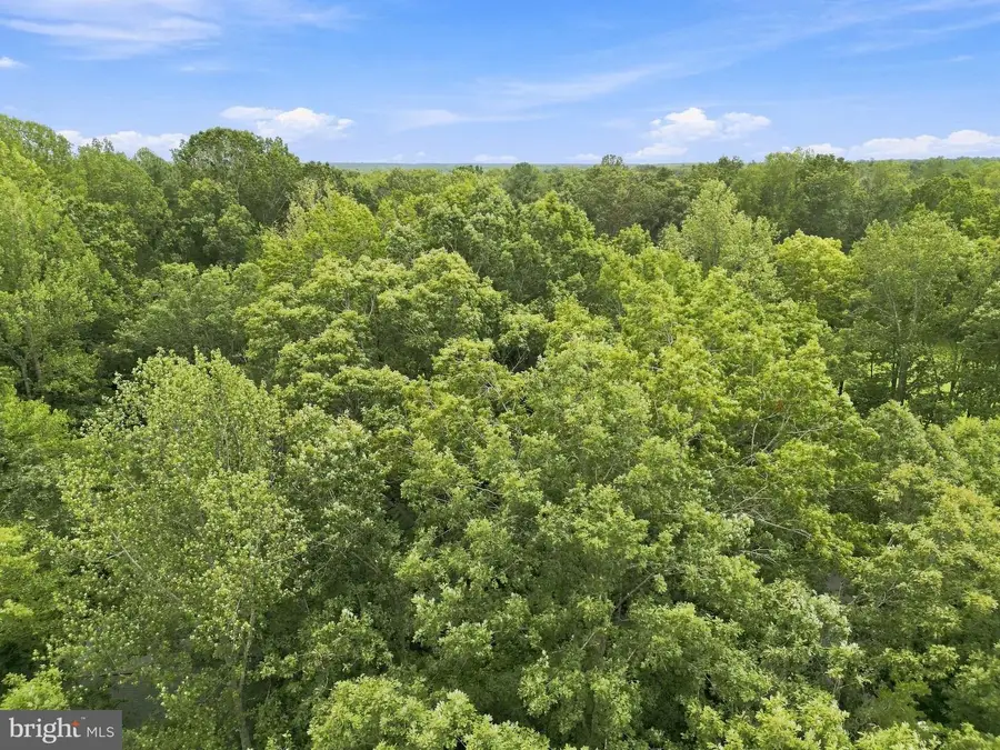 4246 Lakeview Pkwy, Locust Grove, VA 22508 - #2