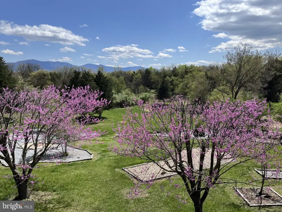 1050 Almond Dr, Luray, VA 22835 - Image #3