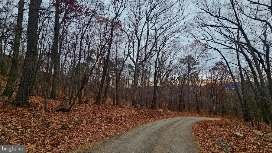 Tbd Forest Drive Ext, Luray, VA 22835 - Image #2