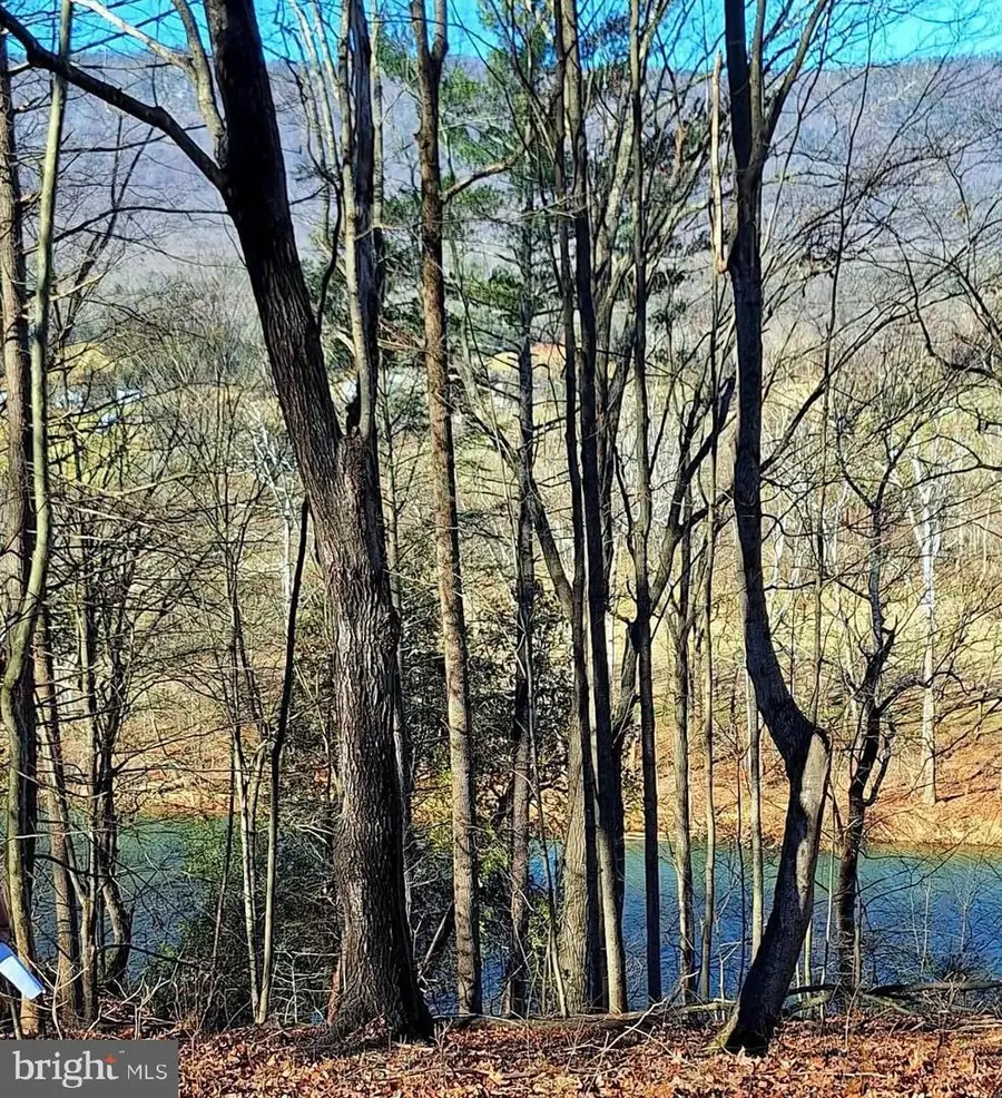 Lot 10 Kauffmans Mill Rd, Luray, VA 22835 - Image #3