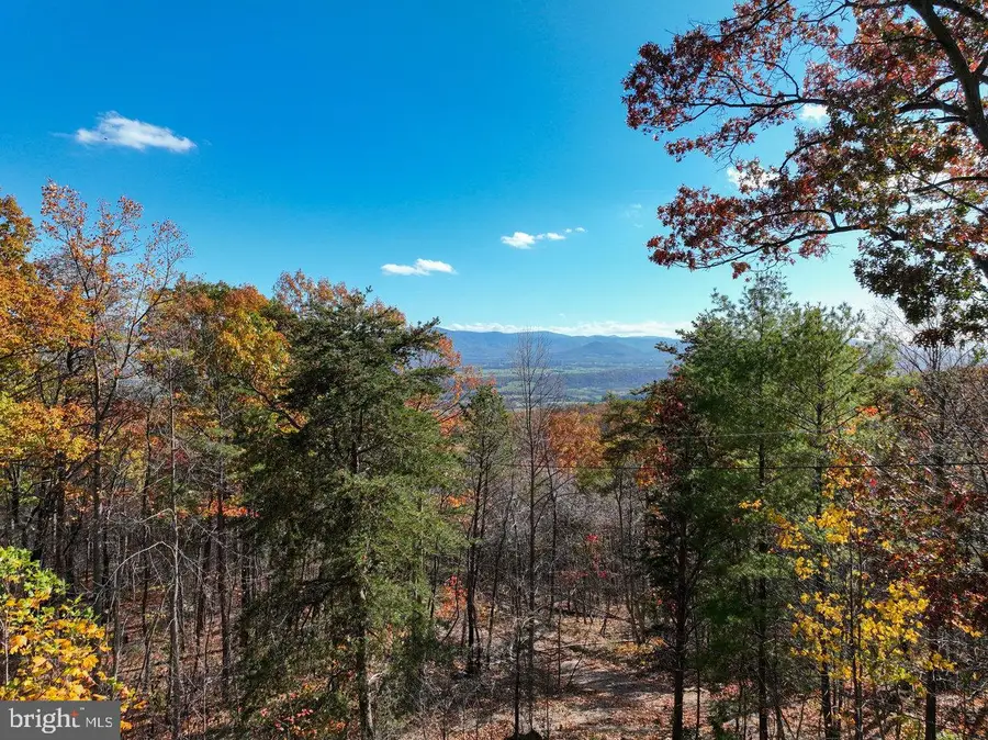 187 Holly Hill Rd, Luray, VA 22835 - Image #2