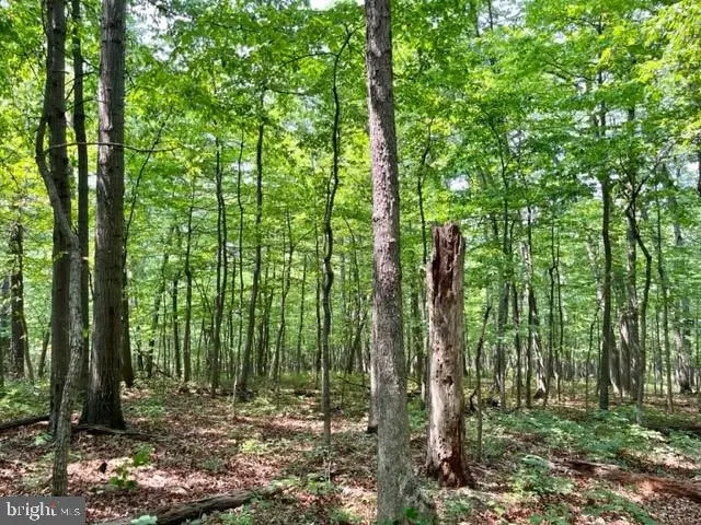 2016 Vaughn Summit Rd, Luray, VA 22835 - #3