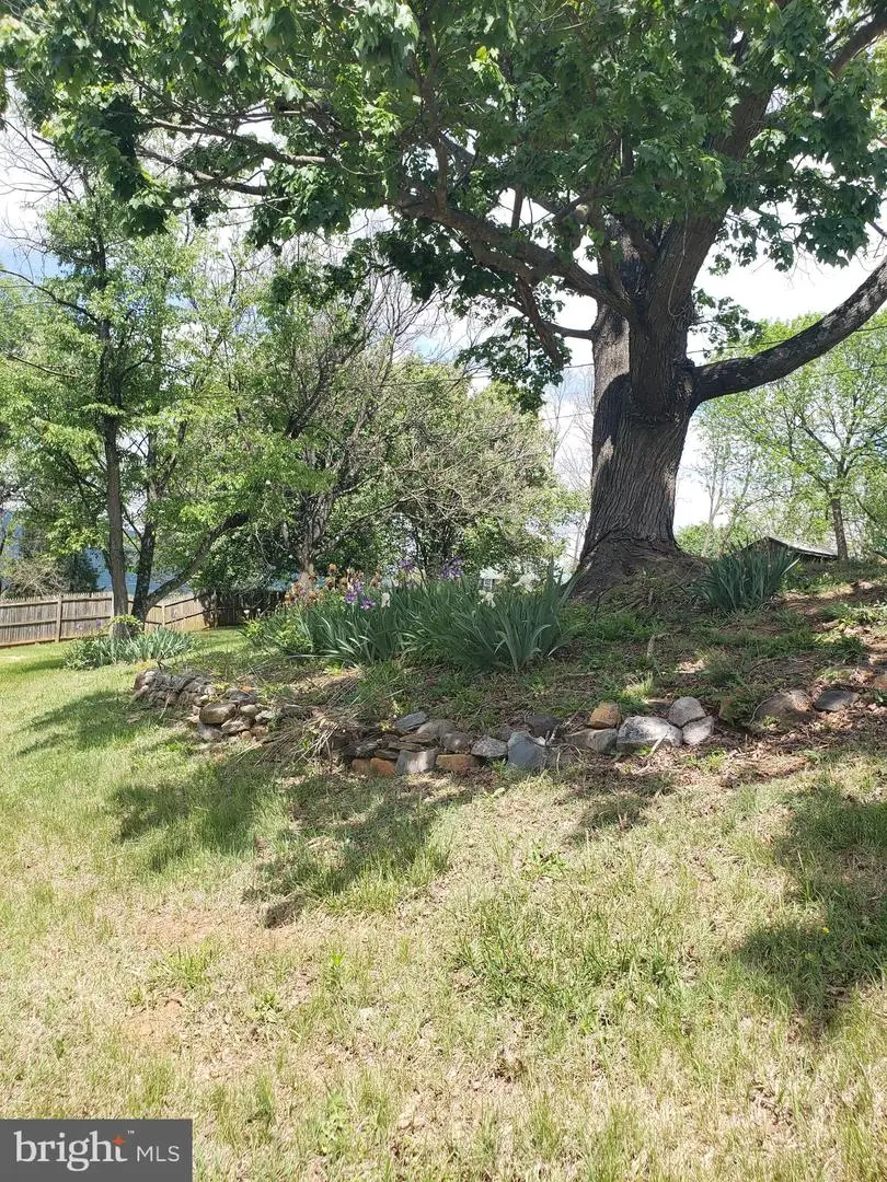 711 Rileyville Rd, Rileyville, VA 22650 - #3