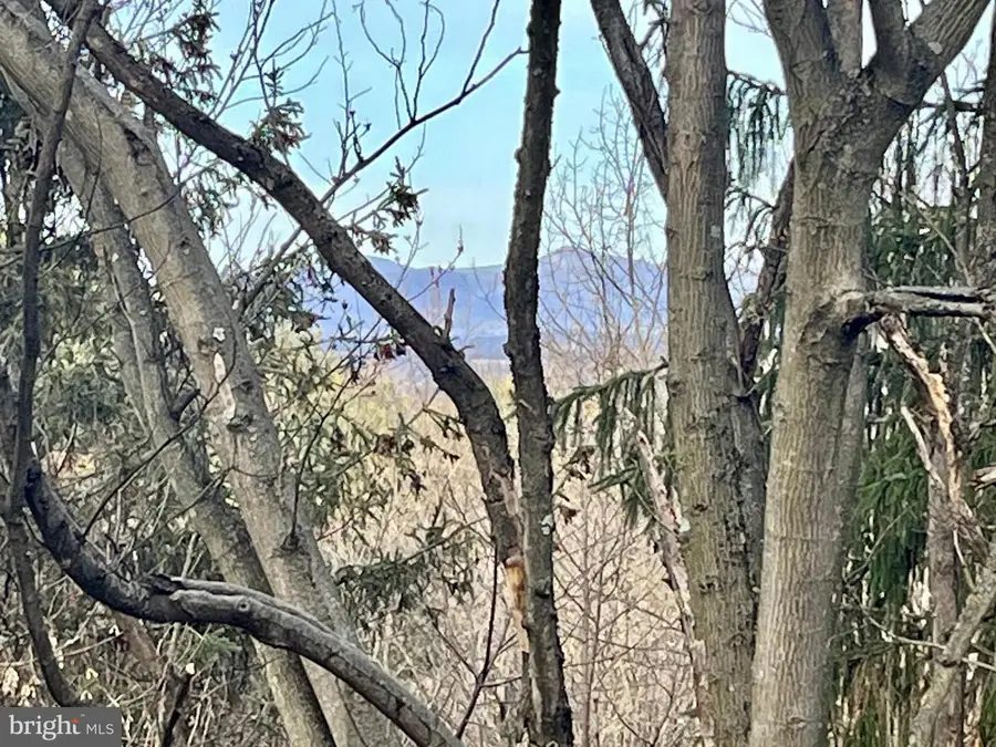 347 Restmore Ln, Stanley, VA 22851 - Image #2