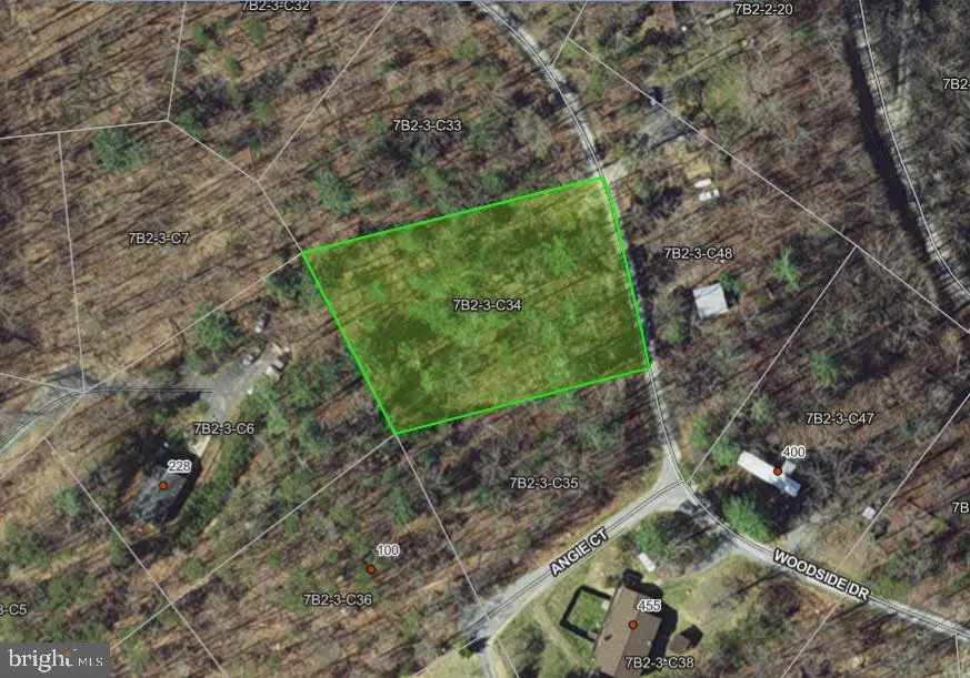 C34 Woodside Dr., Rileyville, VA 22650 - #1