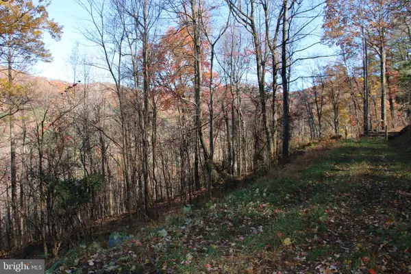 0 Overlook Mountain Rd, ELKTON, VA 22827