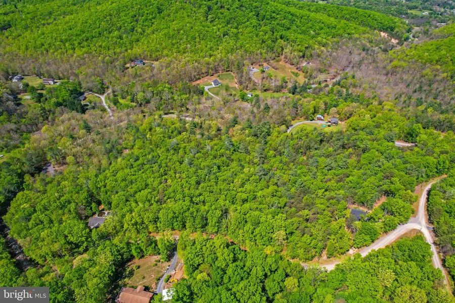 Lots A15 & A16 Holiday Hill Road, Luray, VA 22835 - #3