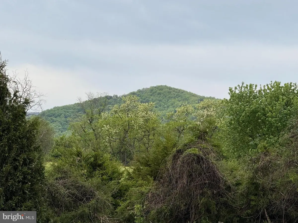 Lot 72 Leola Loop, Stanley, VA 22851 - #1