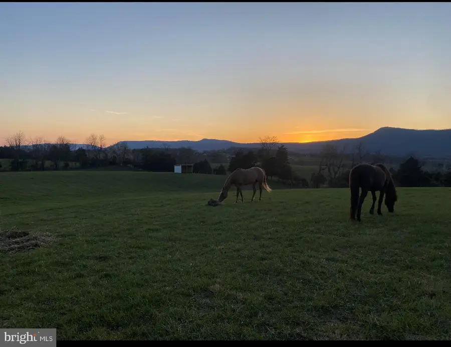 338 Springfield Estates Dr, Rileyville, VA 22650 - #2