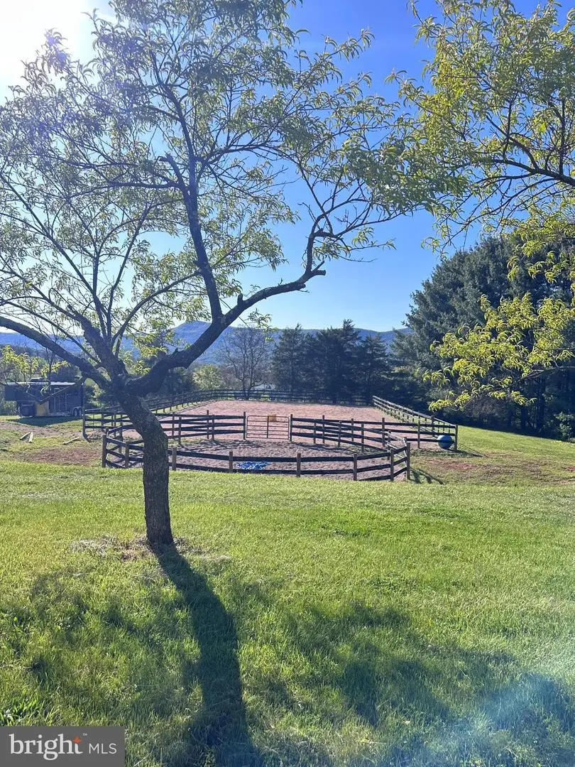 338 Springfield Estates Dr, Rileyville, VA 22650 - #3