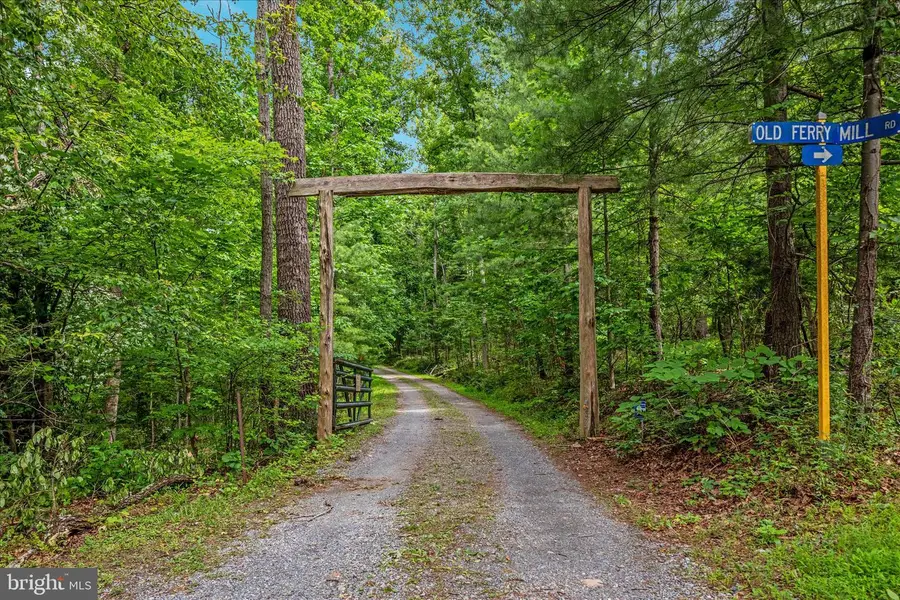 300 Rapids Run, Luray, VA 22835 - #3