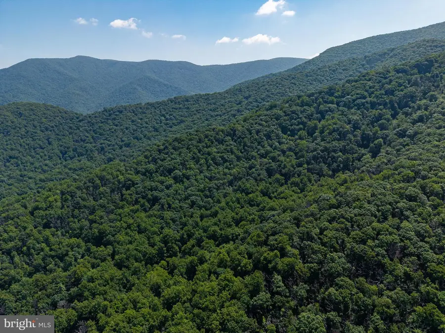 Lots 27, 28 & 29 Helms Road, Stanley, VA 22851 - #3