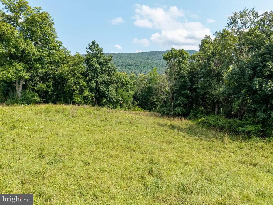 Park Line Road, Stanley, VA 22851 - #2