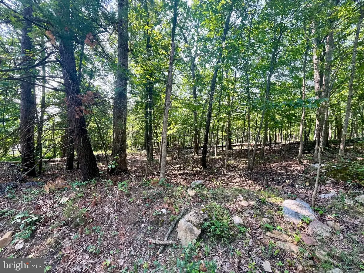 Cross Creek, Luray, VA 22835 - #1