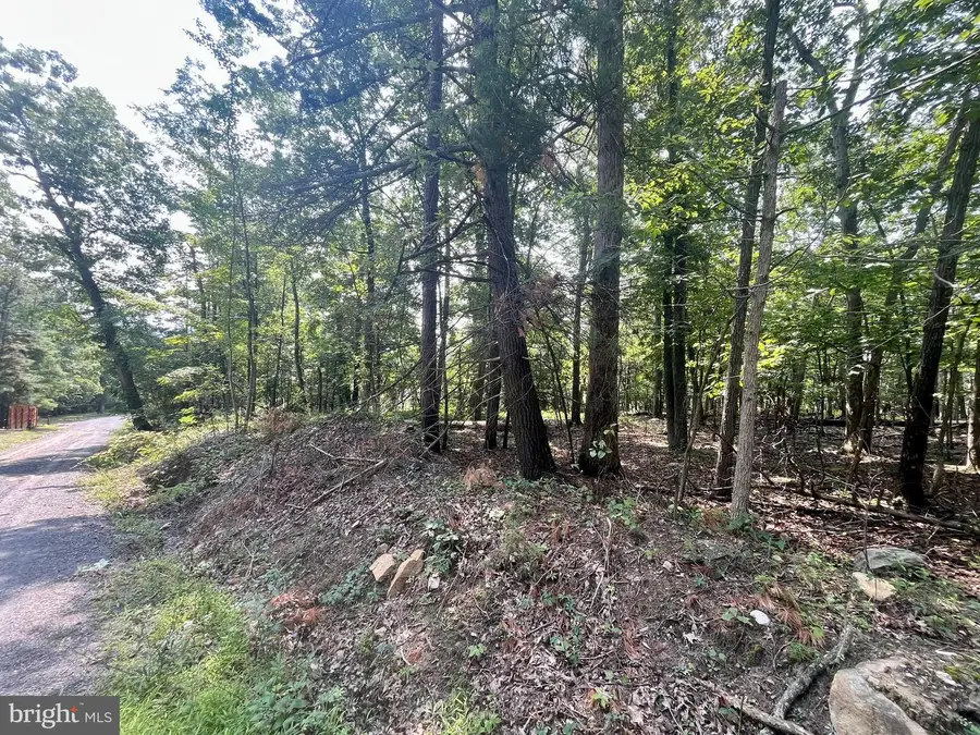 Cross Creek, Luray, VA 22835 - #3