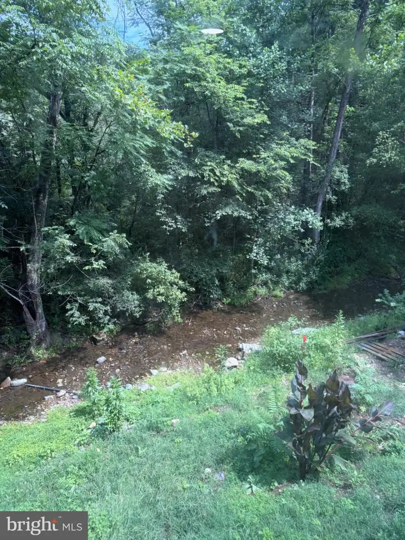 115 Overall Rd, Bentonville, VA 22610 - #2