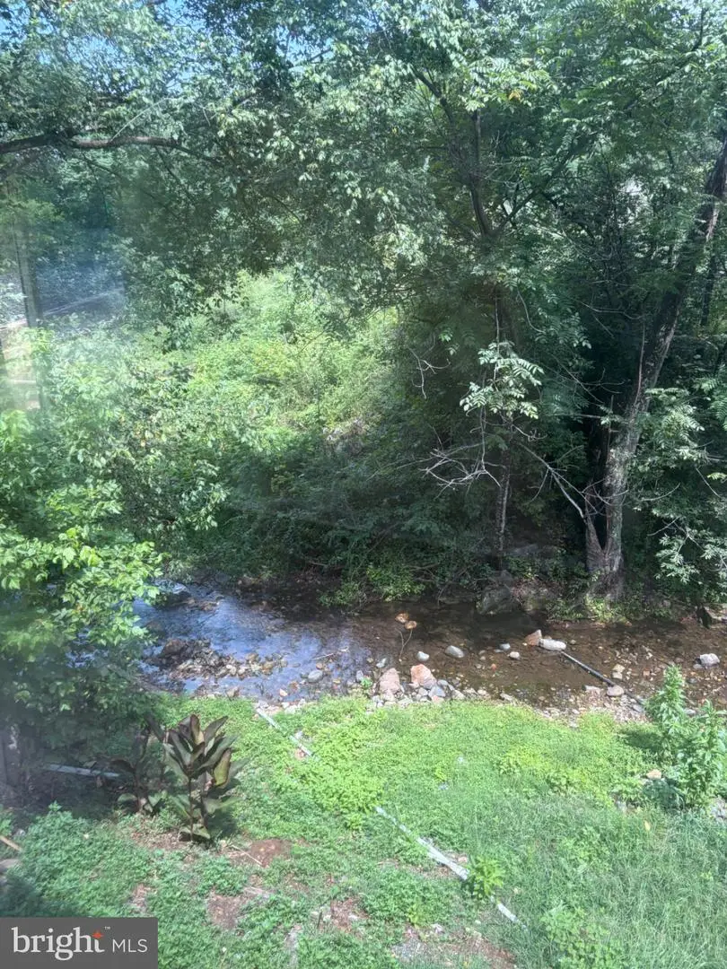 115 Overall Rd, Bentonville, VA 22610 - #3