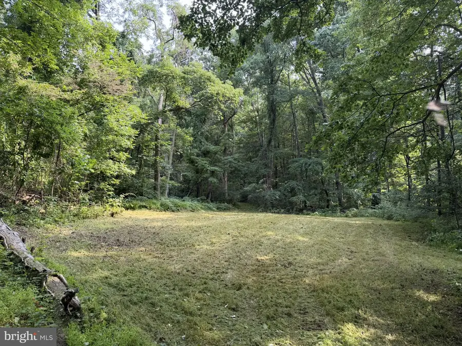 Jewell Hollow Rd, Luray, VA 22835 - #2