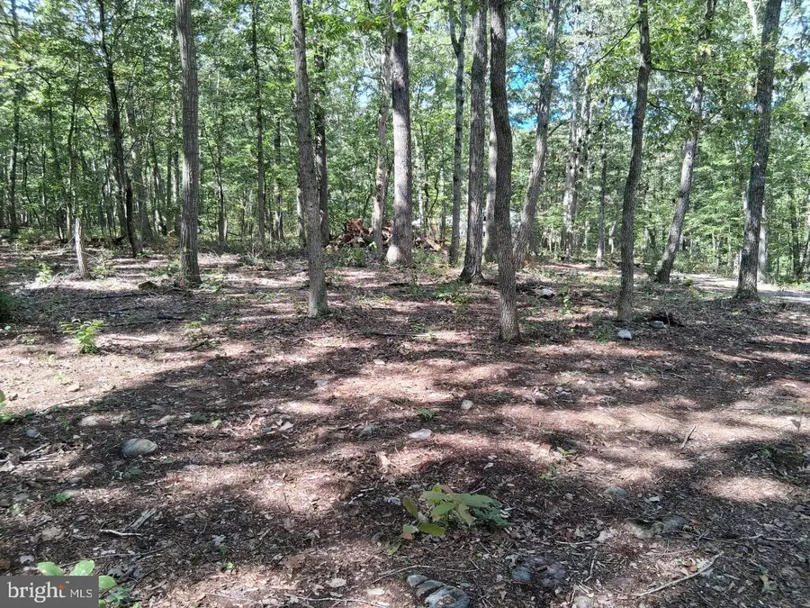22 Oak Ln, Luray, VA 22835 - #3