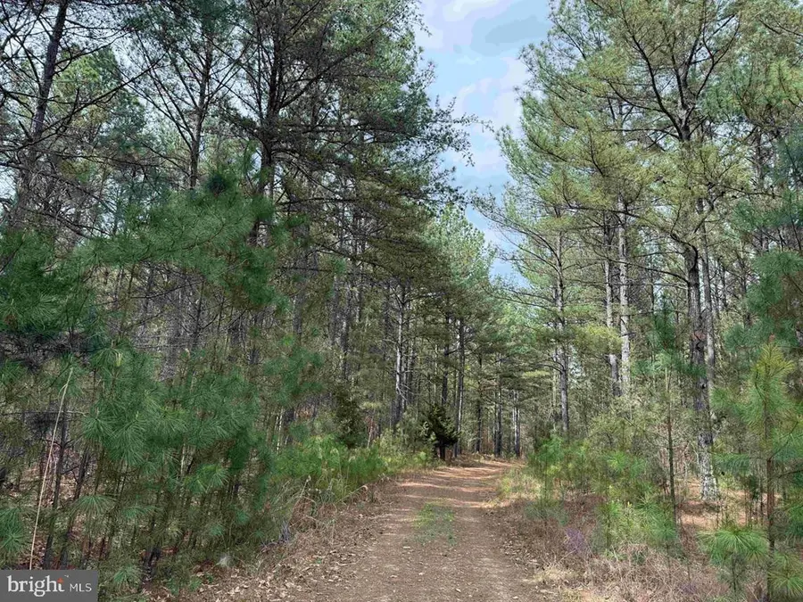 Wyatt Farm Road (tract: C118 Carter-wells), Dry Fork, VA 24549 - #2