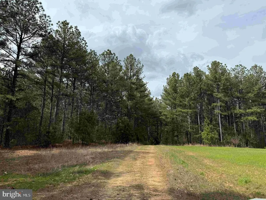 Wyatt Farm Road (tract: C118 Carter-wells), Dry Fork, VA 24549 - #3