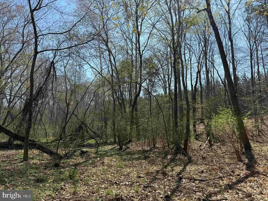 Dabney House Road (tract: Pittsylvania Compton-3), Java, VA 24565 - #2