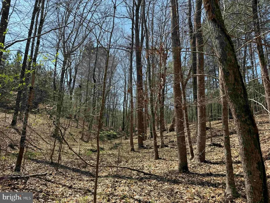 Dabney House Road (tract: Pittsylvania Compton-3), Java, VA 24565 - #3