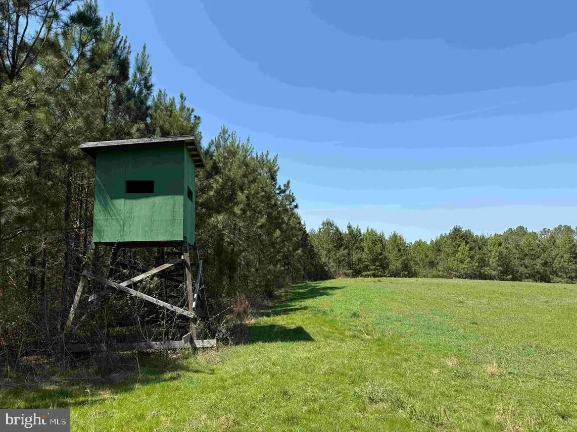 Dabney House Rd.-(tract: Pittsylvania Compton-2), Java, VA 24565 - #1
