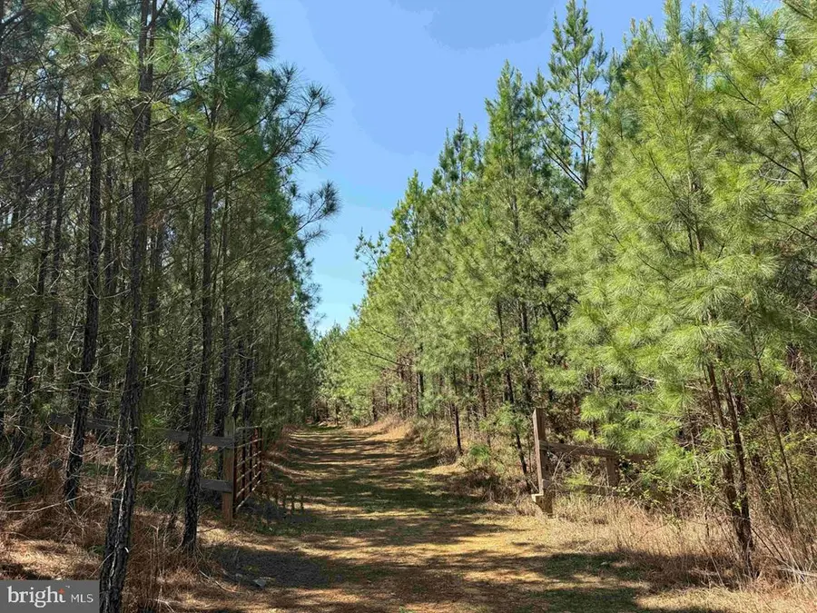 Dabney House Rd.-(tract: Pittsylvania Compton-2), Java, VA 24565 - #2