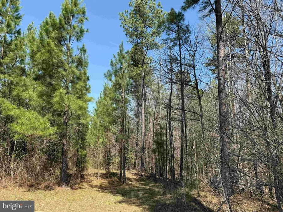 Dabney House Rd.-(tract: Pittsylvania Compton-2), Java, VA 24565 - #3