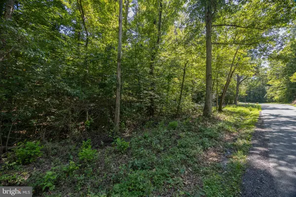 Tbd Grassland #6a, SANDY LEVEL, VA 24161