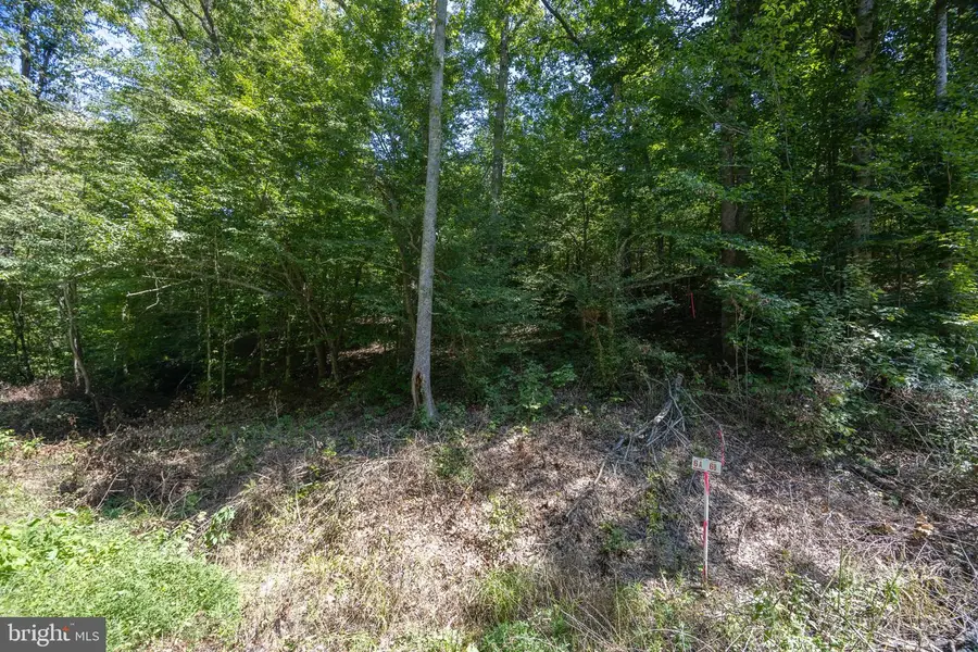 Tbd Grassland #6a, Sandy Level, VA 24161 - #2