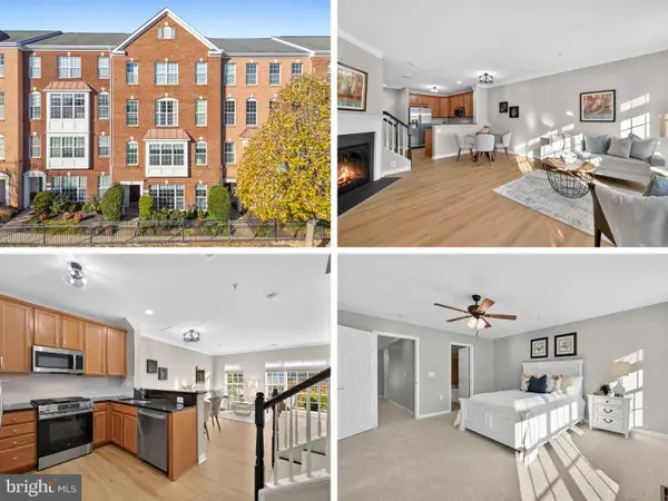 6313 Iris Meadow Ln, HAYMARKET, VA 20169