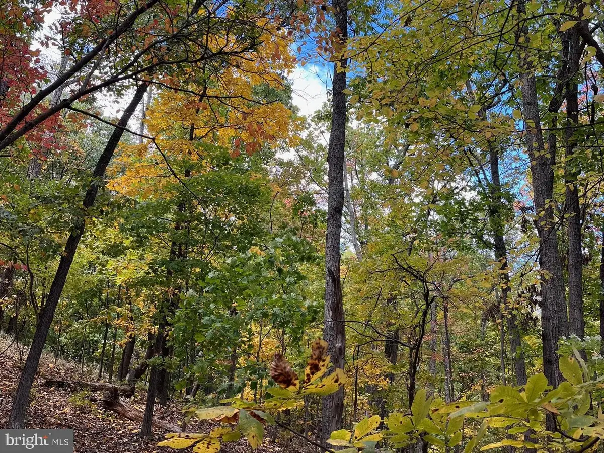 1855 Ridge Rd, Haymarket, VA 20169 - Image #1