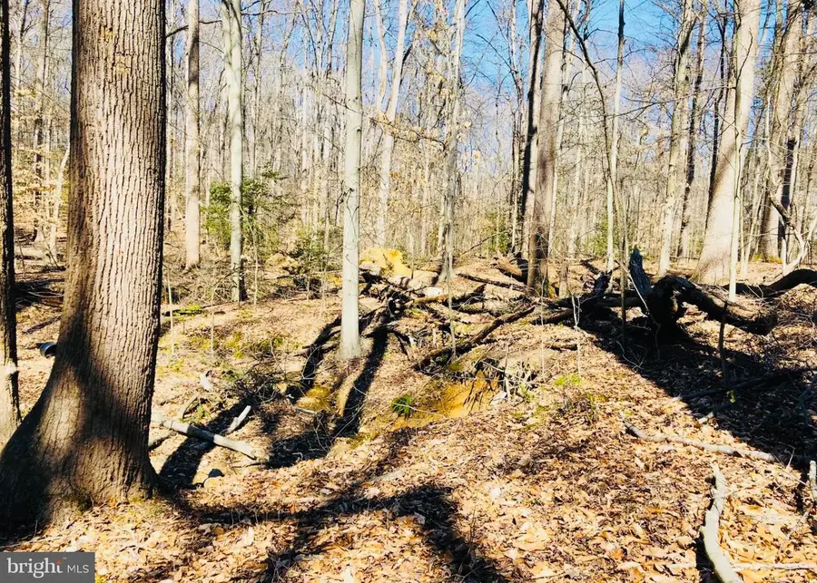 12357 Purcell Rd, Manassas, VA 20112 - #3