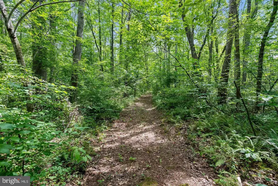 9671 Marlette Dr, Nokesville, VA 20181 - Image #3