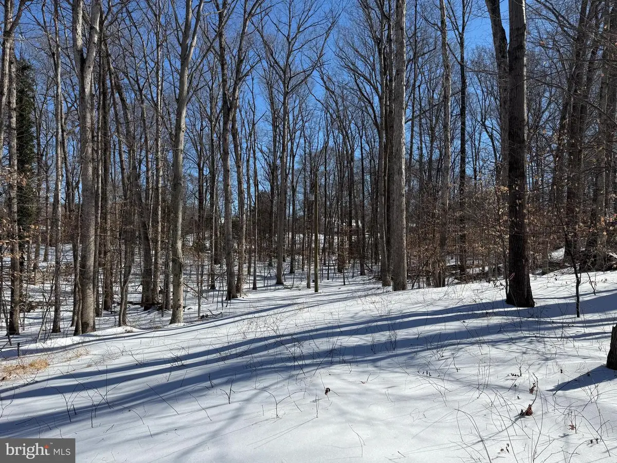 11713 Smithfield Rd, Manassas, VA 20112 - #1