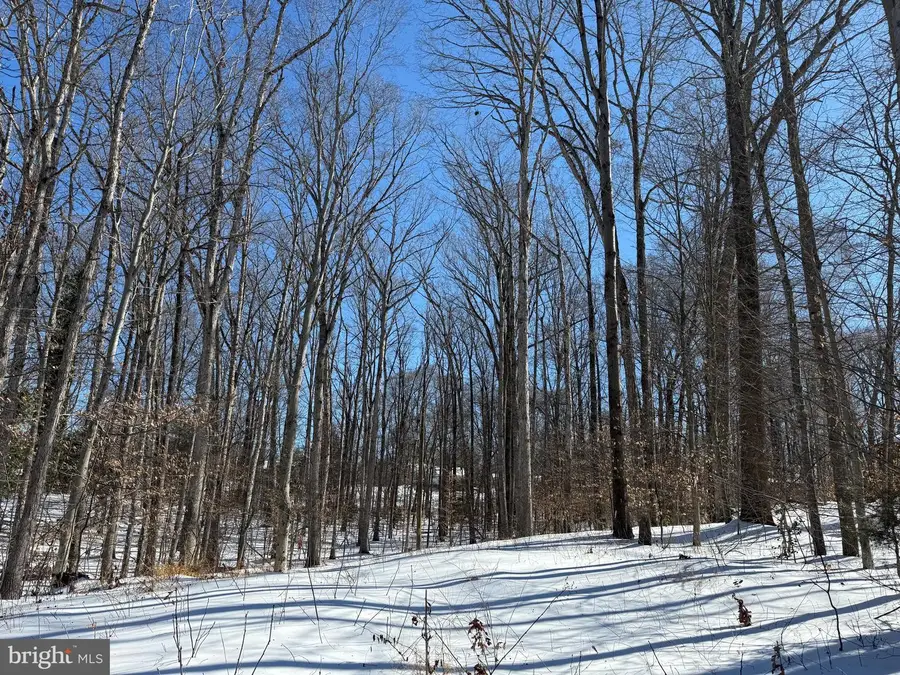 11713 Smithfield Rd, Manassas, VA 20112 - #3