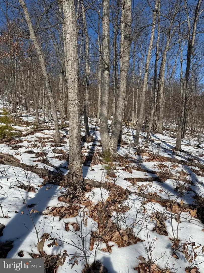 1706 Mercer Rd, Haymarket, VA 20169 - #1