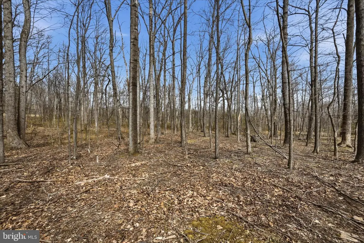 2412 Mountain Rd, Haymarket, VA 20169 - #1