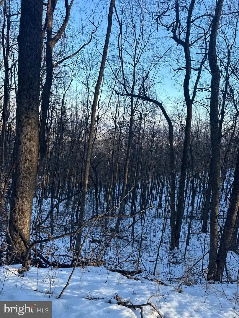 1609 Summit Dr, Haymarket, VA 20169 - #1