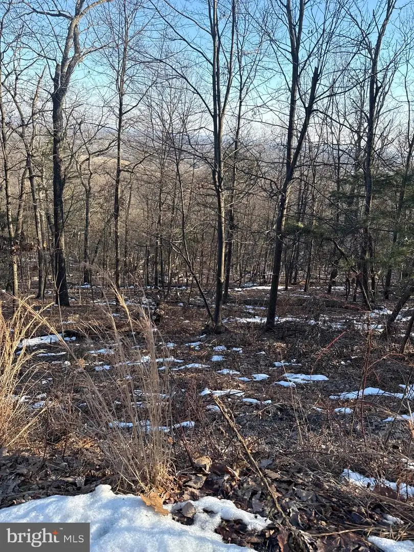 16251 Sumney Dr, Haymarket, VA 20169 - #1