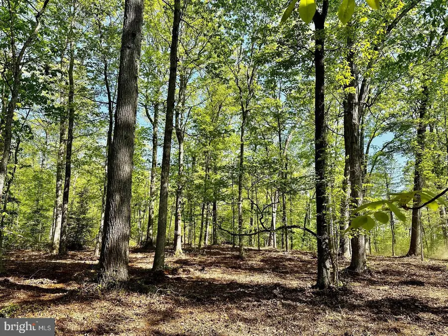 13121 Bristow Rd, Nokesville, VA 20181 - #3