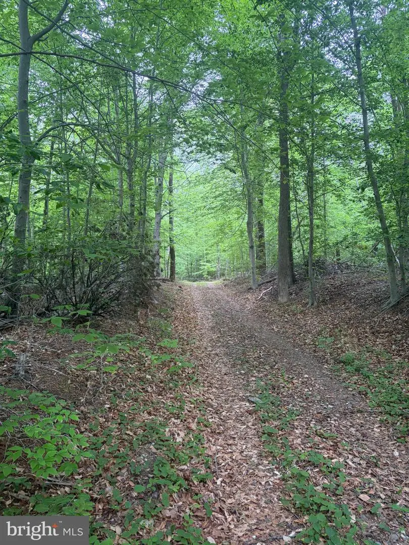 16921 Batestown Rd, Dumfries, VA 22025 - #3