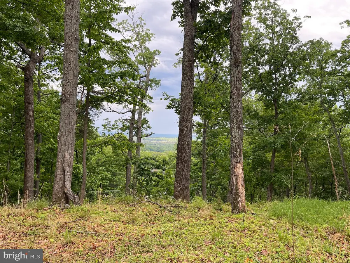 16207 Sumney Dr, Haymarket, VA 20169 - #1