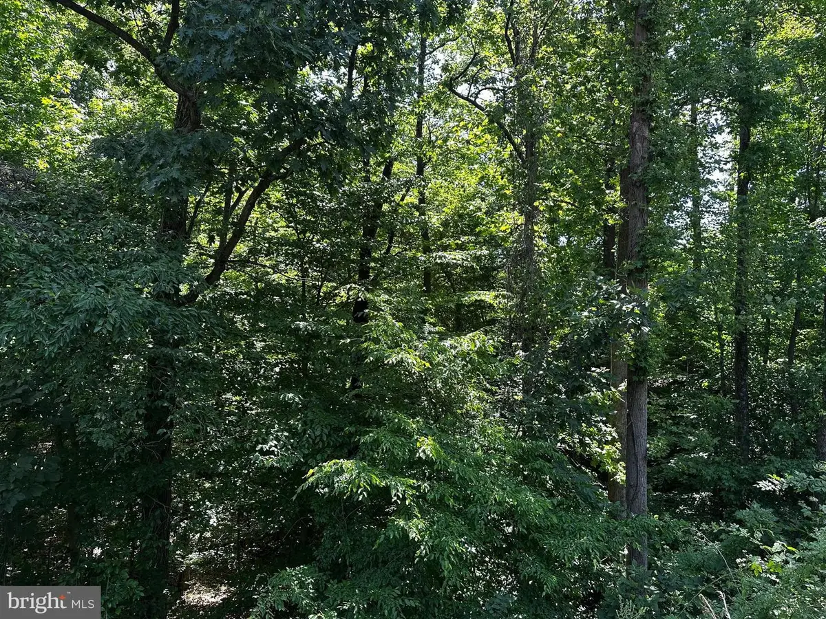 17201 Interstate Dr, Dumfries, VA 22026 - #1