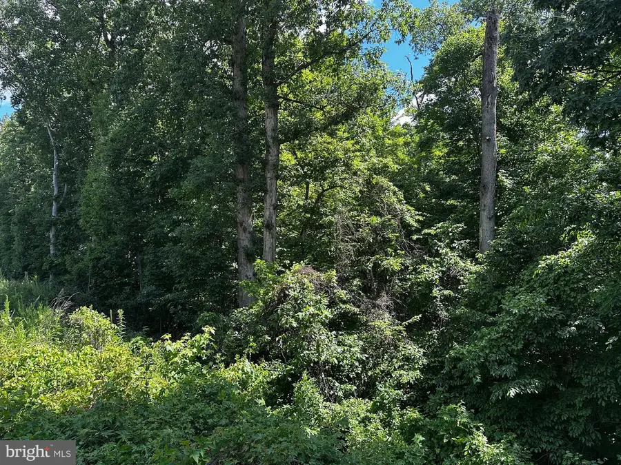 17201 Interstate Dr, Dumfries, VA 22026 - #2